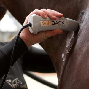 HI TENS - Solution de Physiothérapie pour chevaux