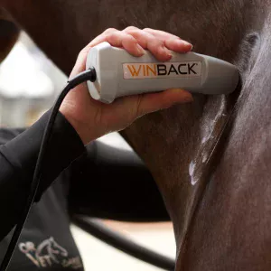 HI TENS - Solution de Physiothérapie pour chevaux